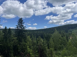 Sale of land in Skhidnytsia