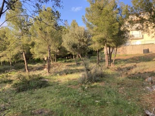 Οικόπεδο 495τ.μ.