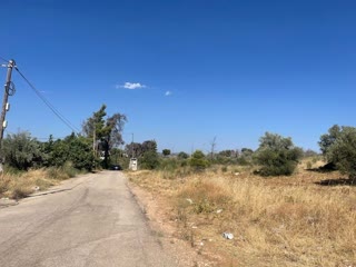 Αγροτεμάχιο 10000τ.μ.