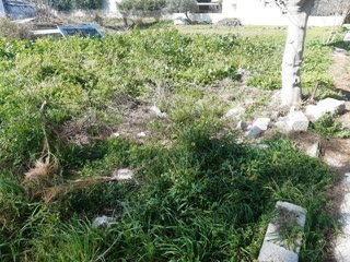 Οικόπεδο 1109 τ.μ.