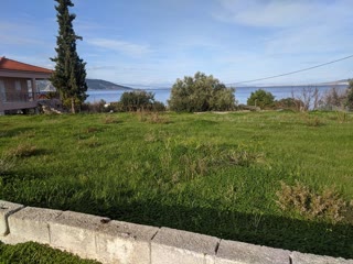 Οικόπεδο 995τ.μ.