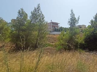 Οικόπεδο 505τ.μ.