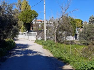 Αγροτεμάχιο 1234 τ.μ.