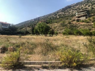 Οικόπεδο 603 τ.μ.