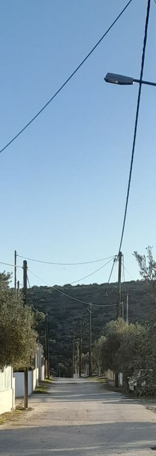 Οικόπεδο 5100 τ.μ.