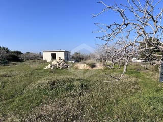 Οικόπεδο 5167 τ.μ.