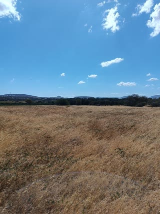 Αγροτεμάχιο 6000 τ.μ.