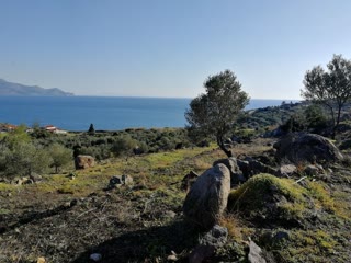 4868 m² Parcel