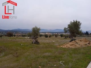Οικόπεδο 644τ.μ.