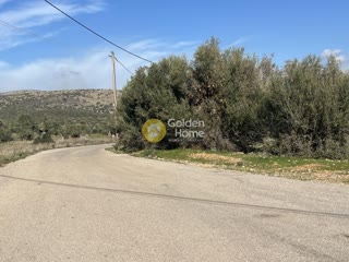 13000 τ.μ. Λοιπές κατηγορίες