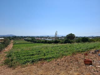 Αγροτεμάχιο 11500 τ.μ.