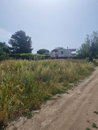Οικόπεδο 500τ.μ.
