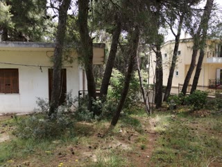 Οικόπεδο 1018 τ.μ.