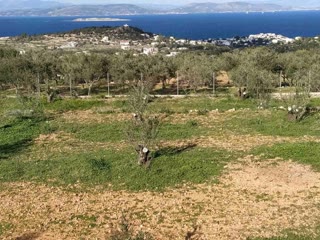600τ.μ. Οικόπεδο