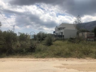 Οικόπεδο 645τ.μ.