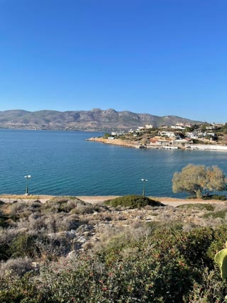 Οικόπεδο 330τ.μ.