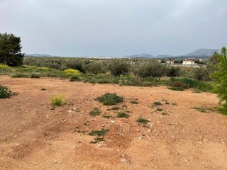 Αγροτεμάχιο 4685 τ.μ.