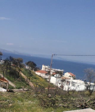 Οικόπεδο 646τ.μ.