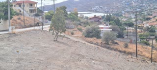 Αγροτεμάχιο 4500 τ.μ.