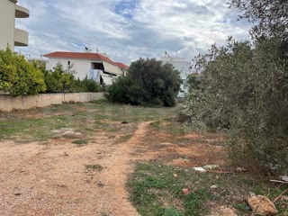 1500 τ.μ. Οικόπεδο