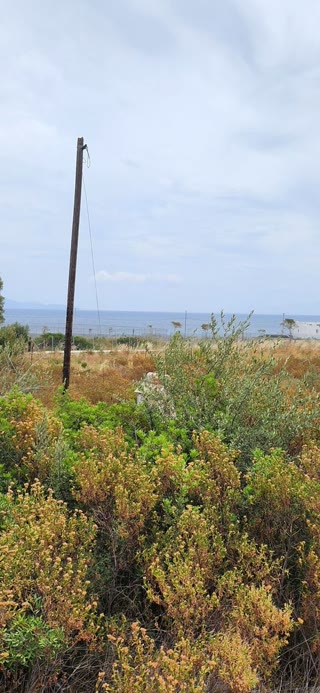 Οικόπεδο 1800τ.μ.