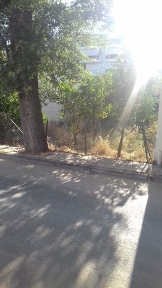 Οικόπεδο 330τ.μ.