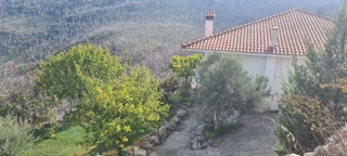 Μονοκατοικία 350τ.μ.