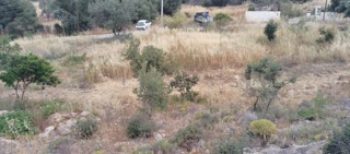 Αγροτεμάχιο 771 τ.μ.