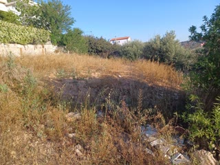 Οικόπεδο 290 τ.μ.