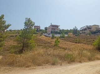 Οικόπεδο 505τ.μ.