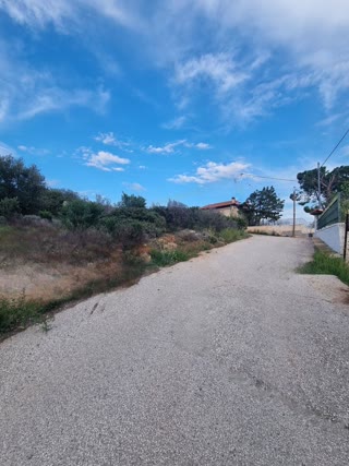 Οικόπεδο 250τ.μ.
