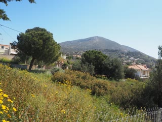 Οικόπεδο 938 τ.μ.