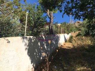 Οικόπεδο 303 τ.μ.