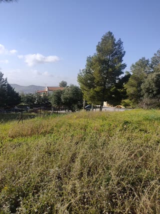 Οικόπεδο 686 τ.μ.