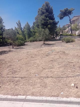 Οικόπεδο 517τ.μ.