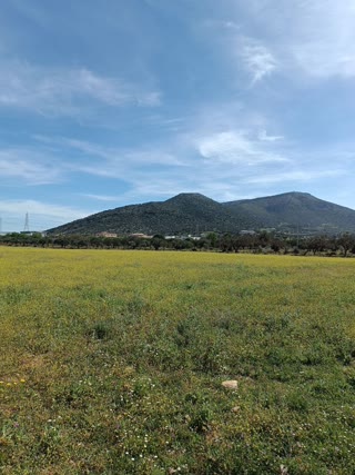 18500 τ.μ. Αγροτεμάχιο