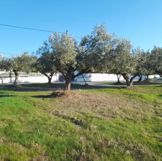 Οικόπεδο 5100 τ.μ.