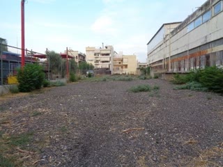 Οικόπεδο 800τ.μ.