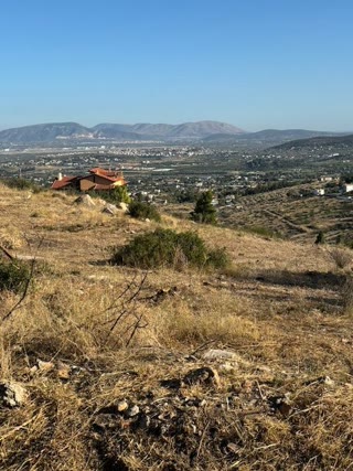 Οικόπεδο 1400 τ.μ.