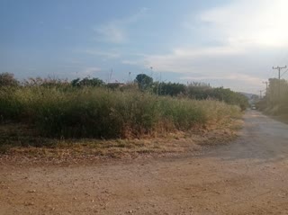 Οικόπεδο 708 τ.μ.