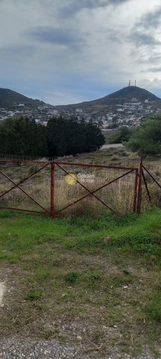 4202 m² Plot