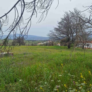 Οικόπεδο 4025τ.μ.
