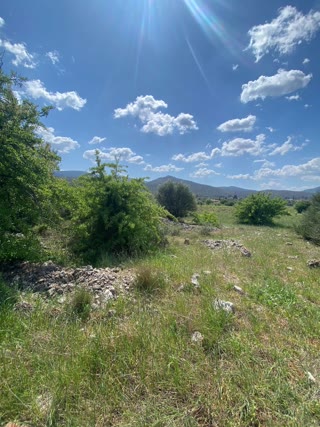 Αγροτεμάχιο 1374 τ.μ.