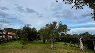 Οικόπεδο 1076 τ.μ.