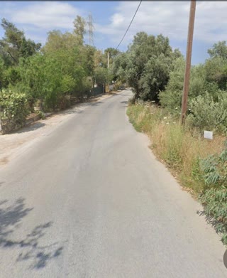 Αγροτεμάχιο 1855 τ.μ.