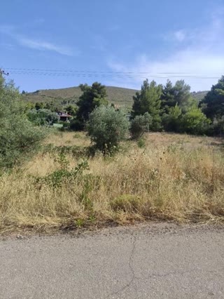 Αγροτεμάχιο 2198 τ.μ.