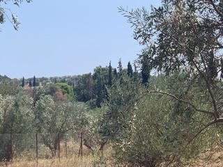 Αγροτεμάχιο 4050 τ.μ.