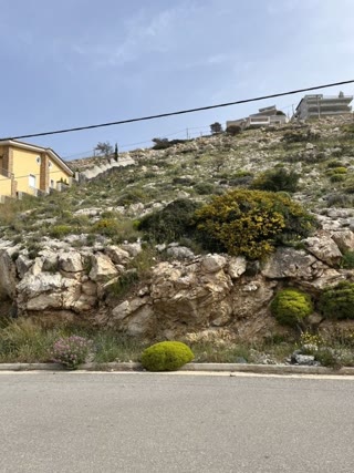 Οικόπεδο 1300 τ.μ.