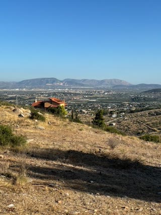 Οικόπεδο 1400 τ.μ.