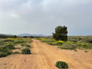Αγροτεμάχιο 4685 τ.μ.